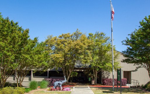 Ridgeview Institute