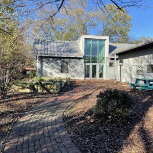 Alexander Youth Network