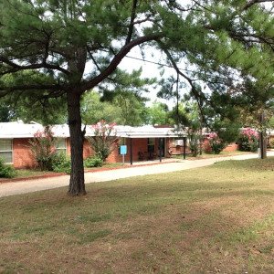 Twelve Way Foundation