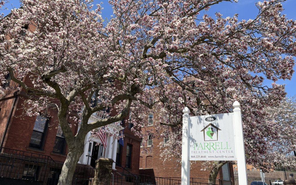 Farrell Treatment Center  CT