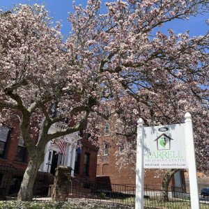 Farrell Treatment Center  CT