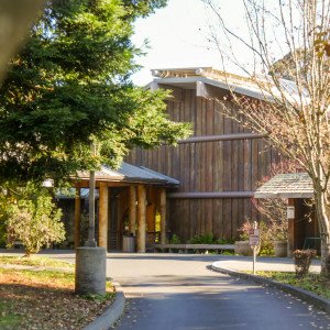 United Indian Health Services