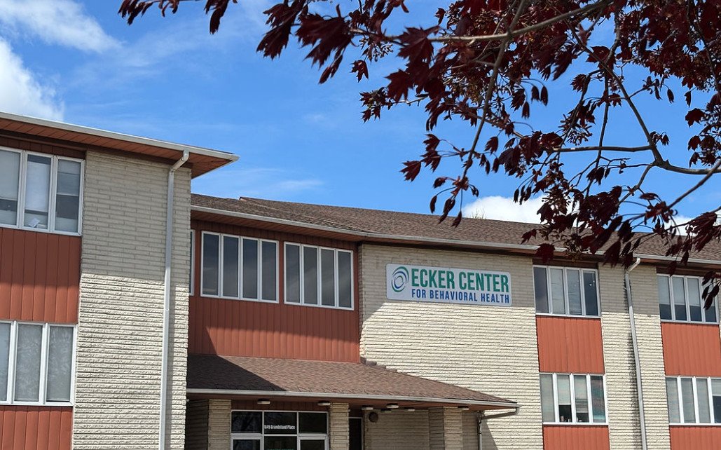 Renz Addiction Counseling Center  IL