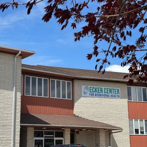 Renz Addiction Counseling Center  IL