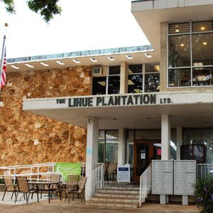 Child and Family Service