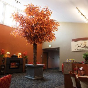 Heartland Wellness Center