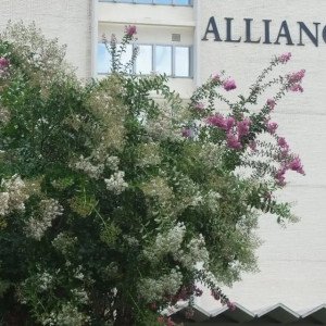 Alliance Health Center Inc