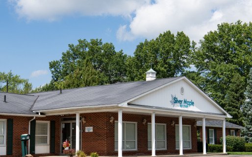 Silver Maple Recovery