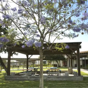 Aurora Charter Oak Hospital