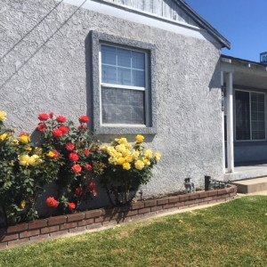 National Council on Alc and Drug Dep  CA