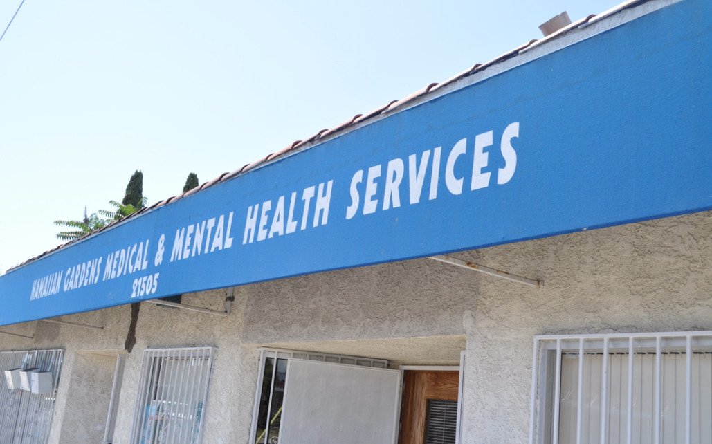 American Health Services LLC  CA