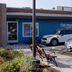 Didi Hirsch Mental Health Services