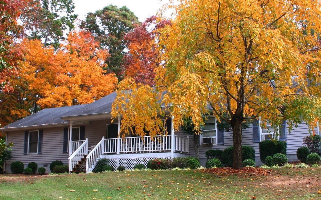 First Resources Corporation  IA