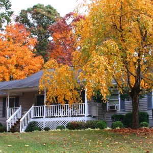 First Resources Corporation  IA