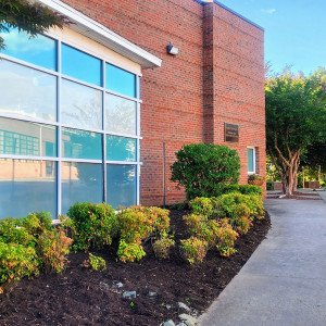 Piedmont Community Services  VA