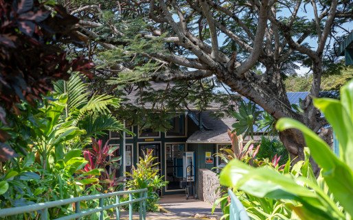 Maui Youth and Family Services Inc Adolescent Community Based Program