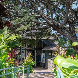 Maui Youth and Family Services Inc