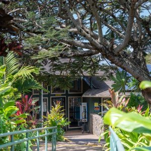 Aloha House Inc  HI
