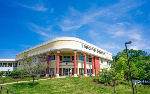 Discovery Institute for Addictive Disorders/Detox