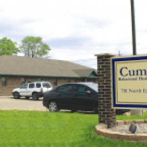 Cummins BH Systems Inc  IN