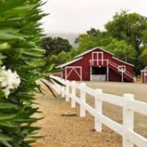 Duffys Napa Valley Treatment