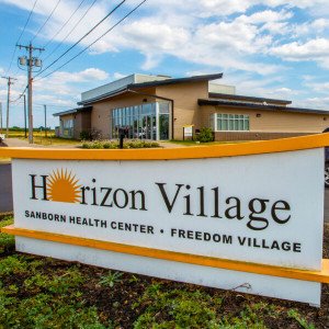 Horizon Health Services Inc  NY