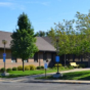 West Michigan Community MH  MI