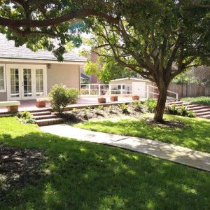 Solutions for Recovery