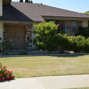 Lead Recov Transitional Living Ctr LLC