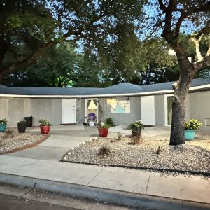 North Texas Addiction Counseling and  TX