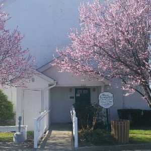 Wayne Counseling and Family Services