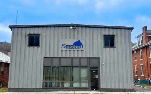 Seneca Health Services Inc