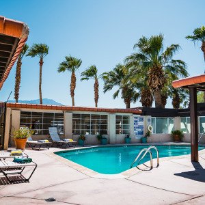 Living Longer Recovery