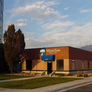 White Tree Medical