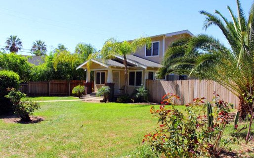 His House Palm Recovery