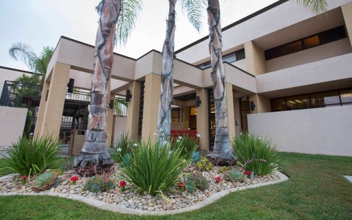 Alvarado Parkway Institute BHS