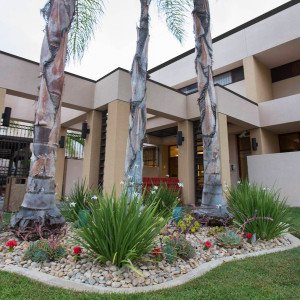 Alvarado Parkway Institute