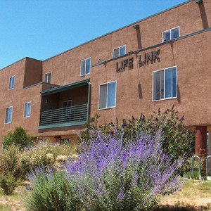Life Link