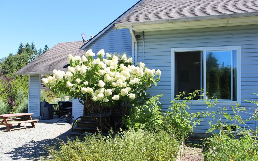Pioneer Counseling Services  WA