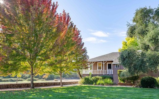 Mountain Vista Farm