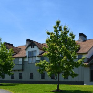 Cayuga Addiction Recovery Services