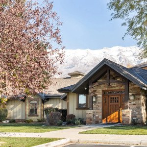 Willow Tree Recovery