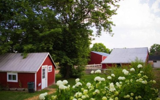 Dawn Inc Dawn Farm Downtown