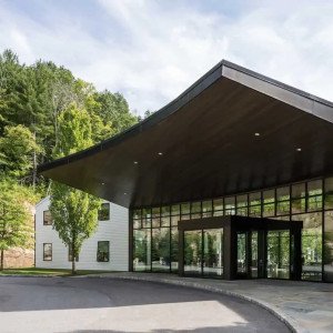 Mountainside Treatment Center  NY