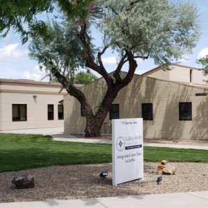 Valle Wide Health Systems