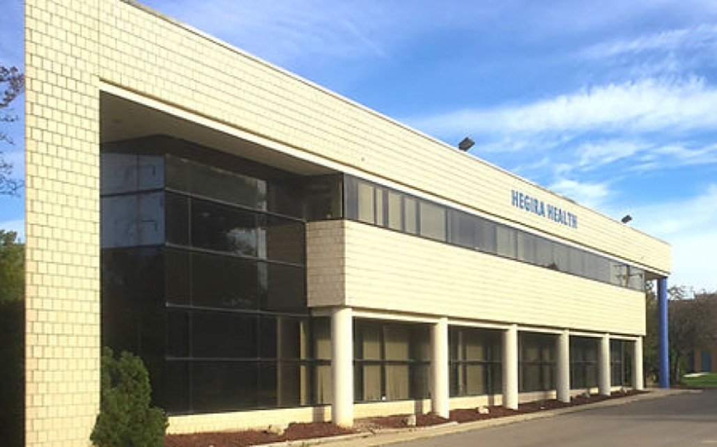 Hegira Health Inc  MI