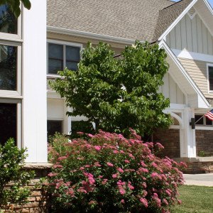 Step Toward Success (Niagara County)