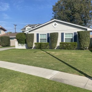 True Life Recovery Inc