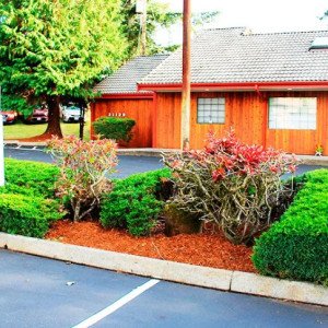 Consejo Graham Behavioral Health