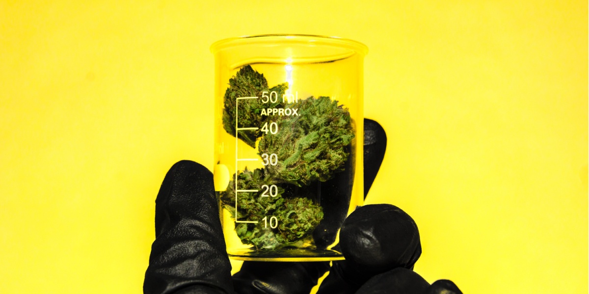 Marijuana Withdrawal, Detox and Treatment